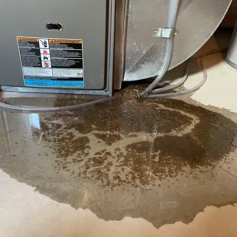 Appliance Leak Cleanup in Fort Mitchell, KY